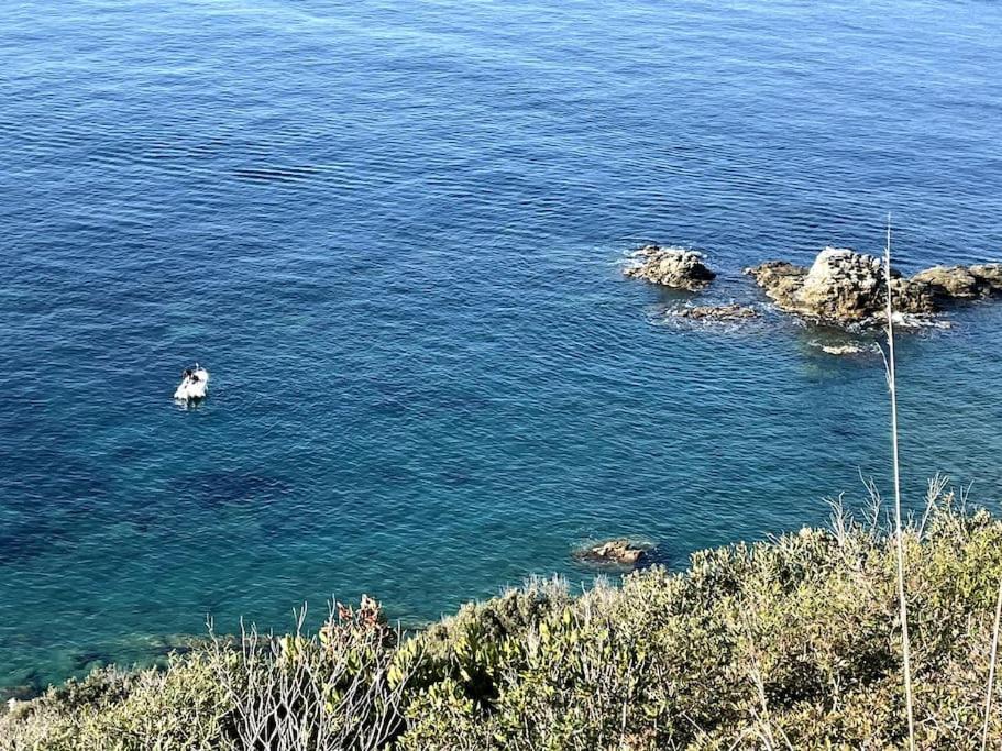 La Casina A Piombino Apartment ภายนอก รูปภาพ